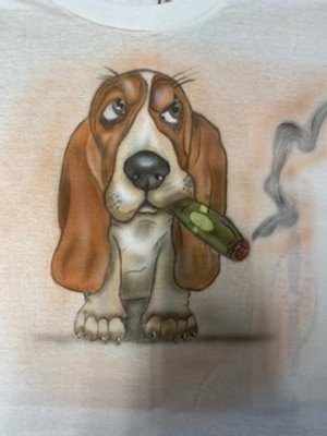 basset